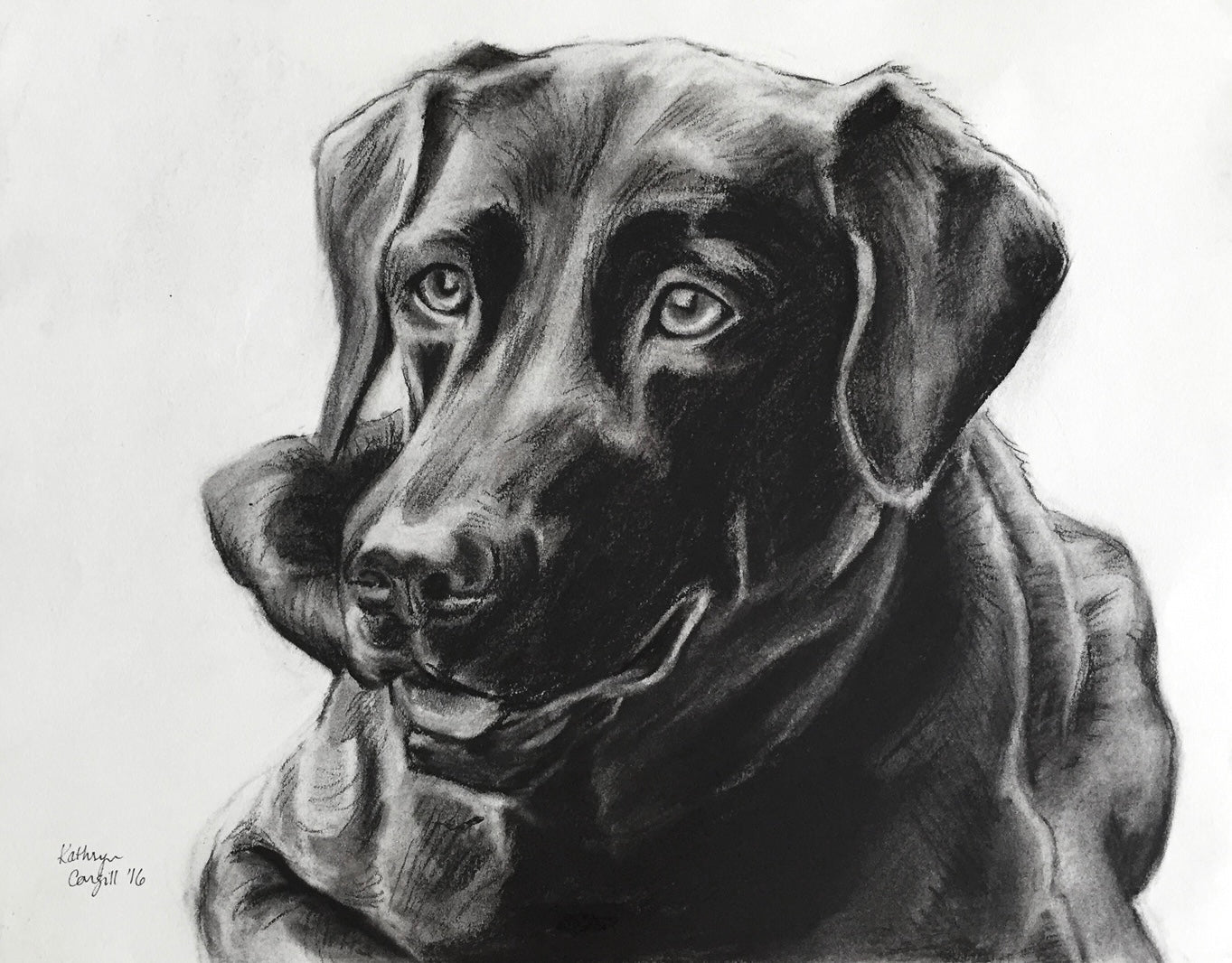 Custom Charcoal Pet Portrait