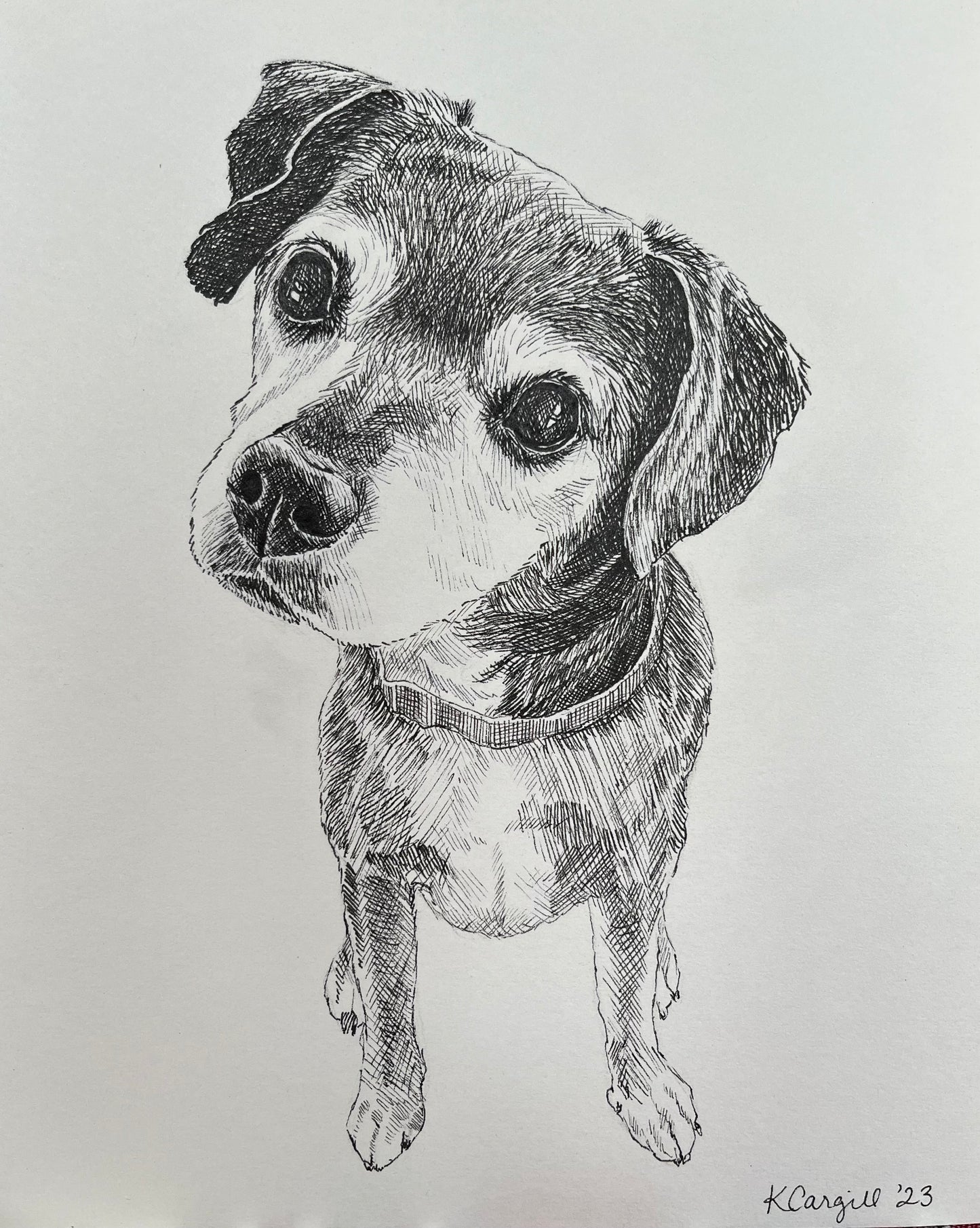 Custom Pen Portrait