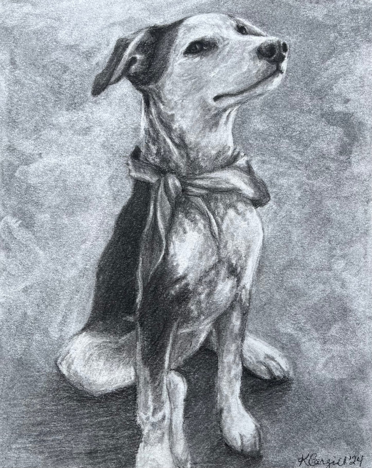 Custom Charcoal Pet Portrait