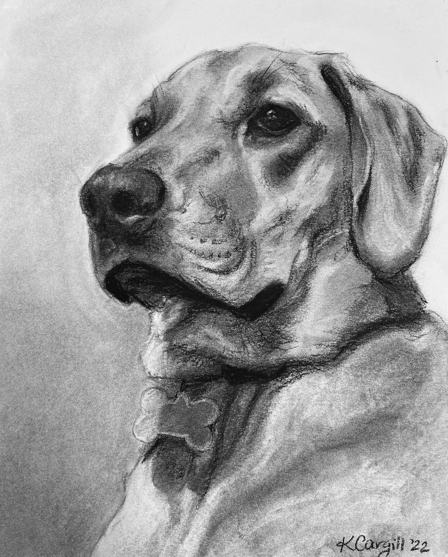 Custom Charcoal Pet Portrait