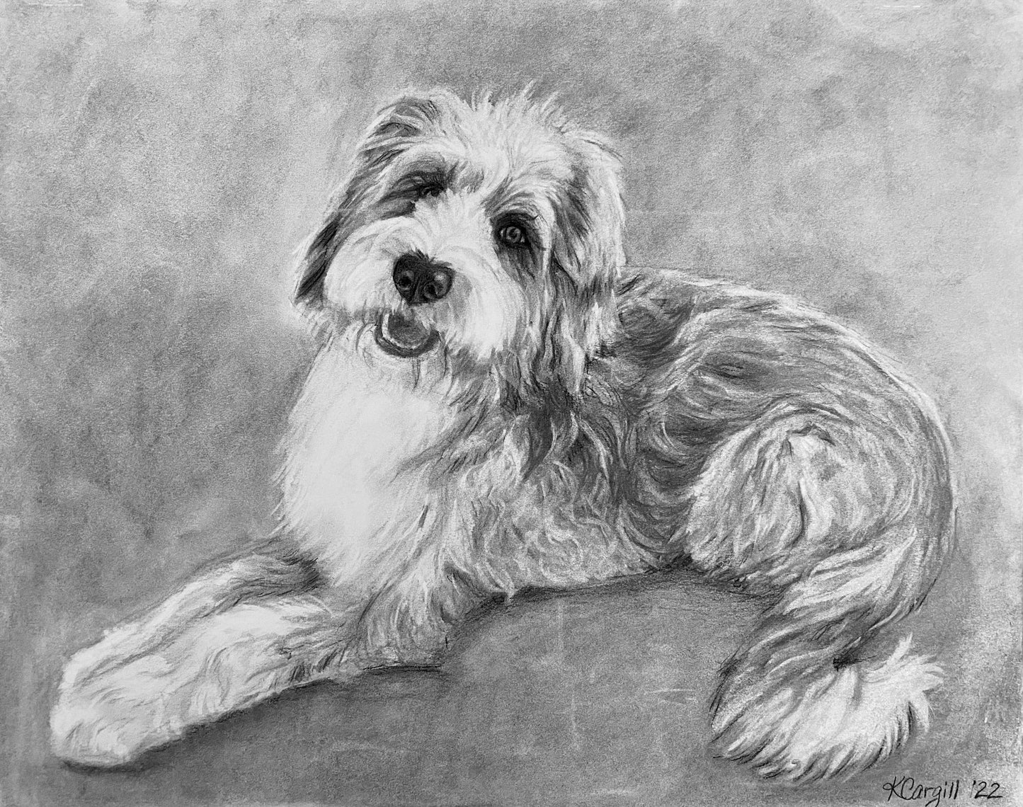 Custom Charcoal Pet Portrait