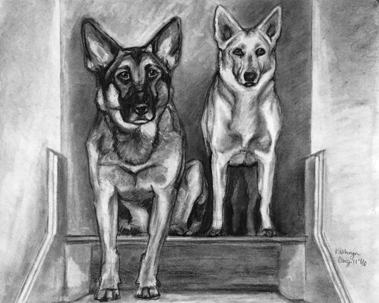 Custom Charcoal Pet Portrait