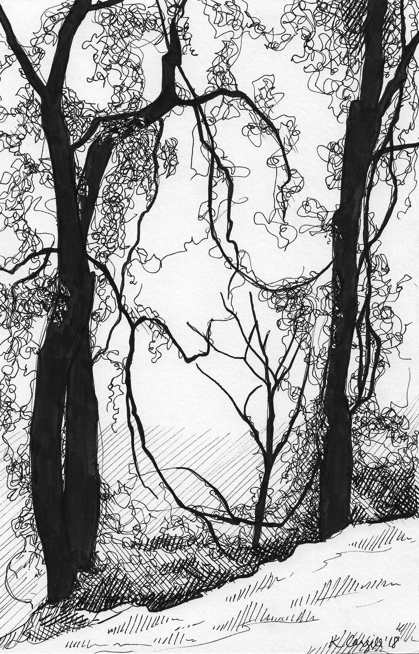 “Vines in Harmony” Pen Drawing Art Print