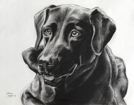 Custom Charcoal Pet Portrait