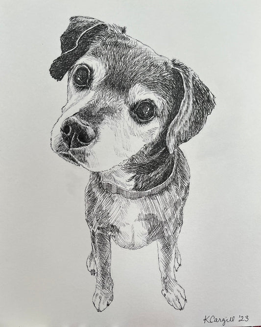 Custom Pen Portrait