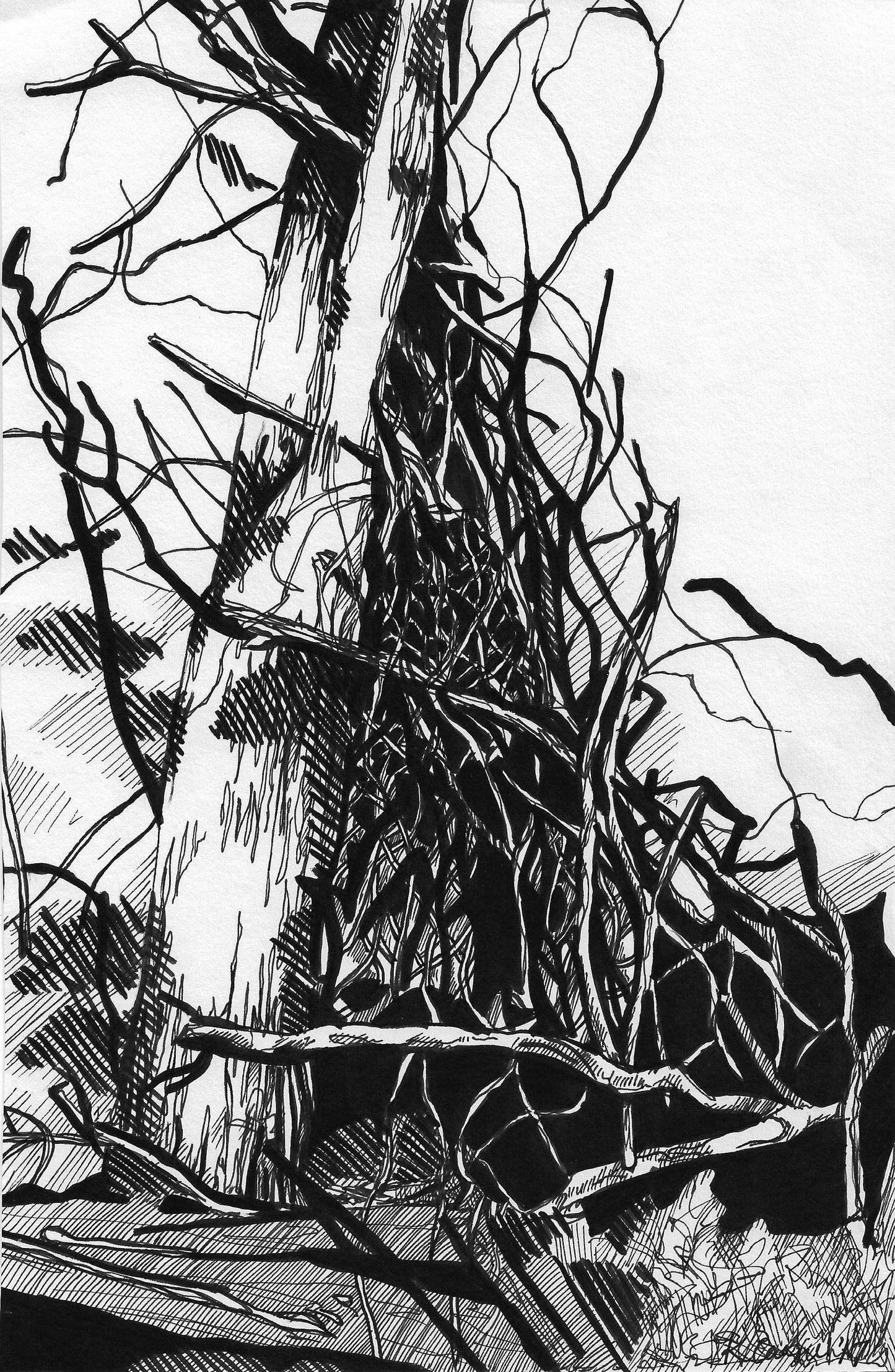 “Still Standing” Pen Drawing Art Print