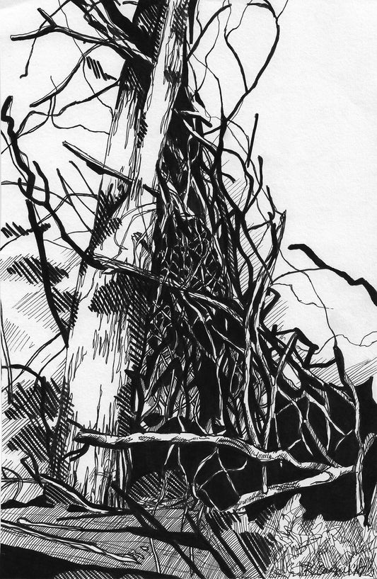 “Still Standing” Pen Drawing Art Print